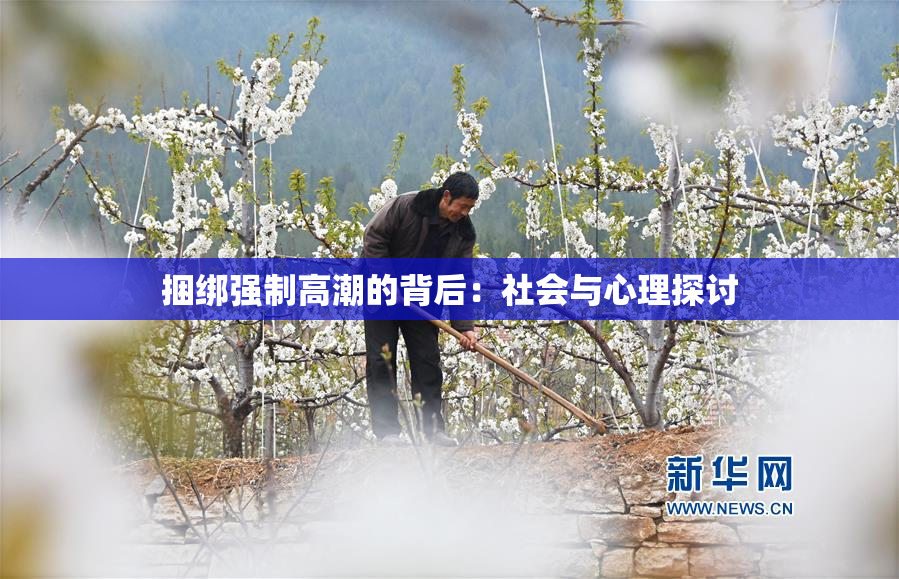 捆绑强制高潮的背后：社会与心理探讨