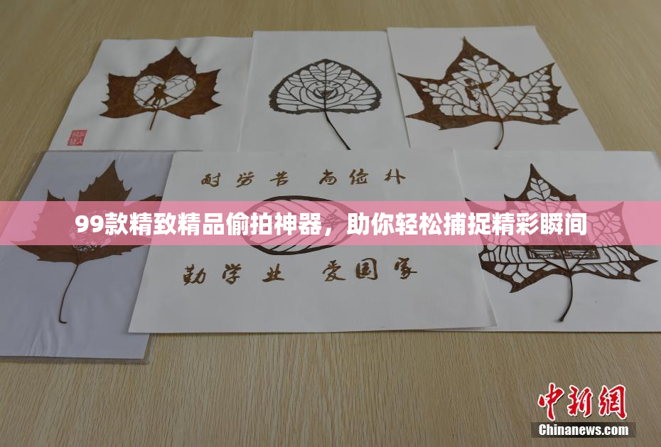 99款精致精品偷拍神器，助你轻松捕捉精彩瞬间