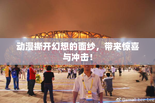 动漫撕开幻想的面纱，带来惊喜与冲击！