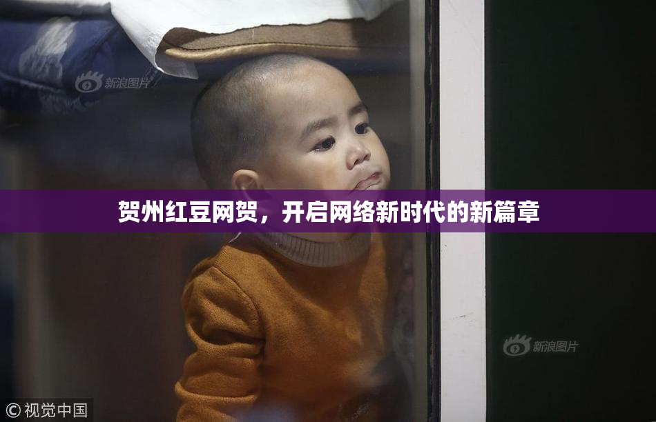 贺州红豆网贺，开启网络新时代的新篇章