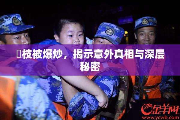 狛枝被爆炒，揭示意外真相与深层秘密