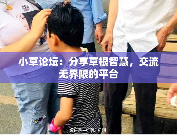 小草论坛：分享草根智慧，交流无界限的平台