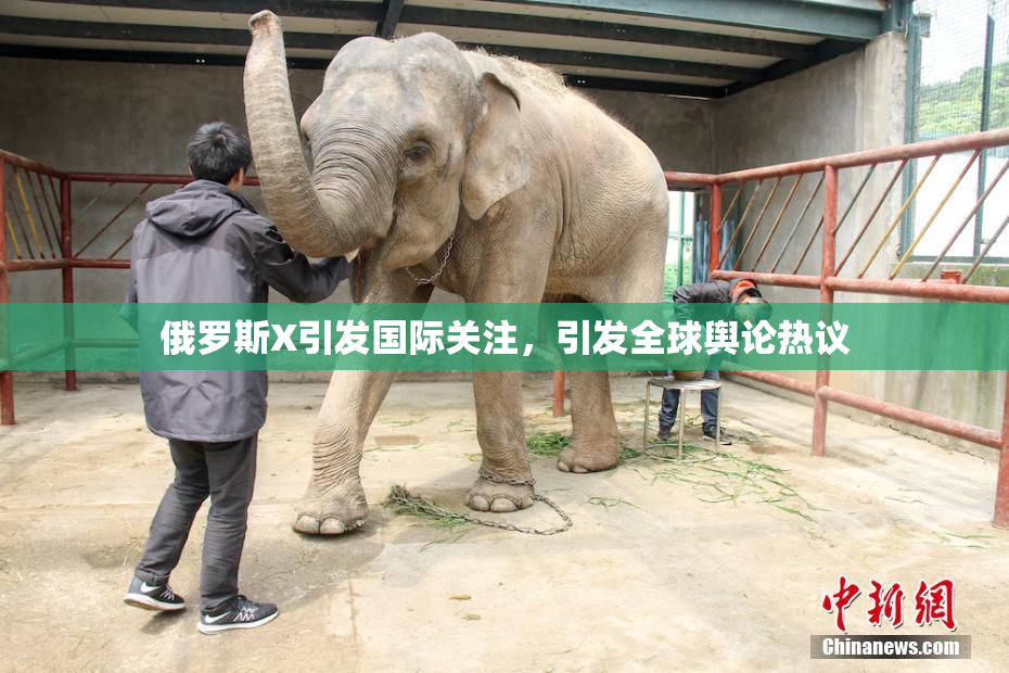 俄罗斯X引发国际关注，引发全球舆论热议