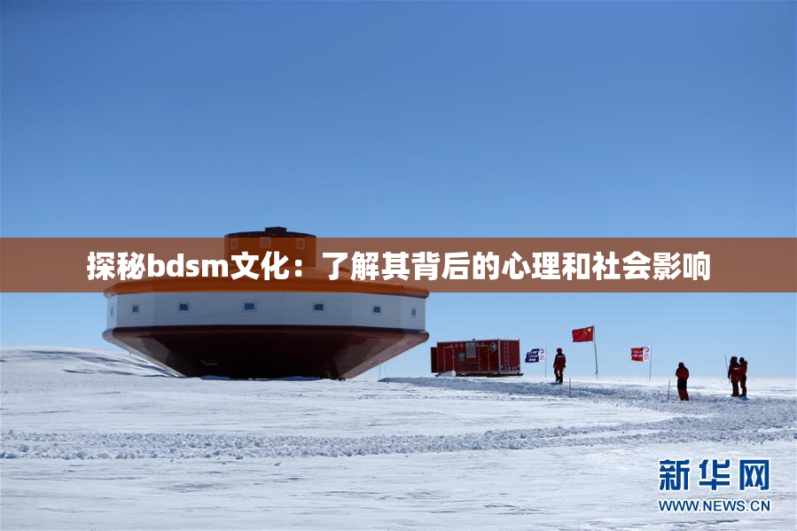 探秘bdsm文化：了解其背后的心理和社会影响