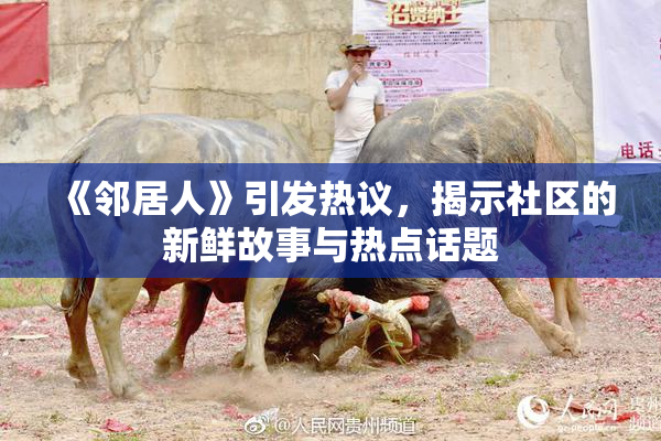 《邻居人》引发热议，揭示社区的新鲜故事与热点话题