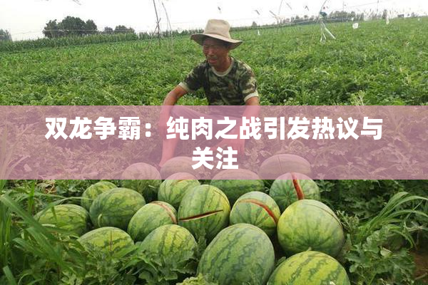 双龙争霸：纯肉之战引发热议与关注