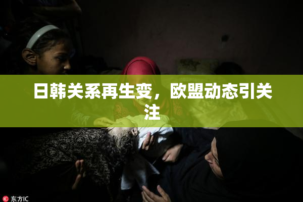 日韩关系再生变，欧盟动态引关注