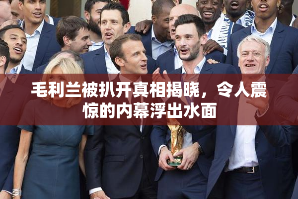 毛利兰被扒开真相揭晓，令人震惊的内幕浮出水面