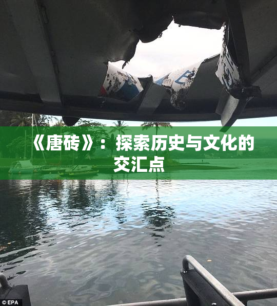 《唐砖》：探索历史与文化的交汇点