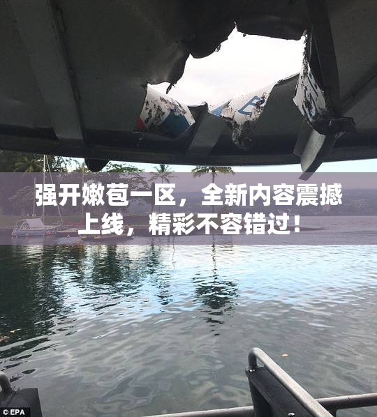 强开嫩苞一区，全新内容震撼上线，精彩不容错过！
