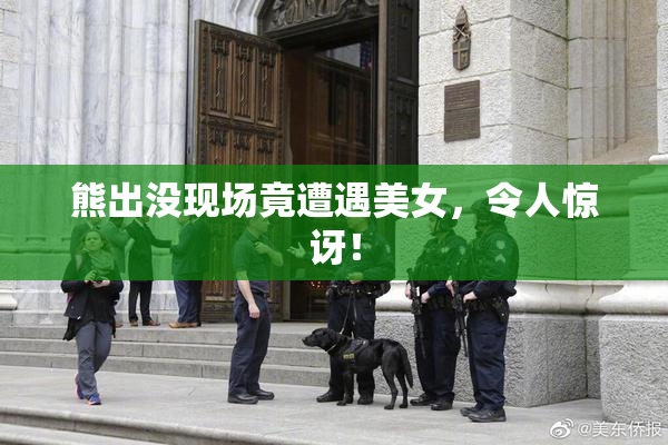 熊出没现场竟遭遇美女，令人惊讶！