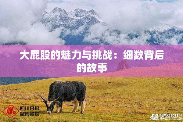 大屁股的魅力与挑战：细数背后的故事