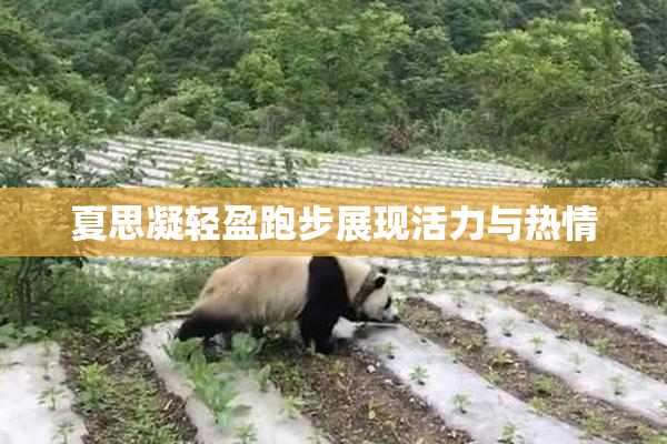 夏思凝轻盈跑步展现活力与热情