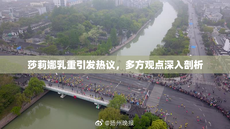 莎莉娜乳重引发热议，多方观点深入剖析