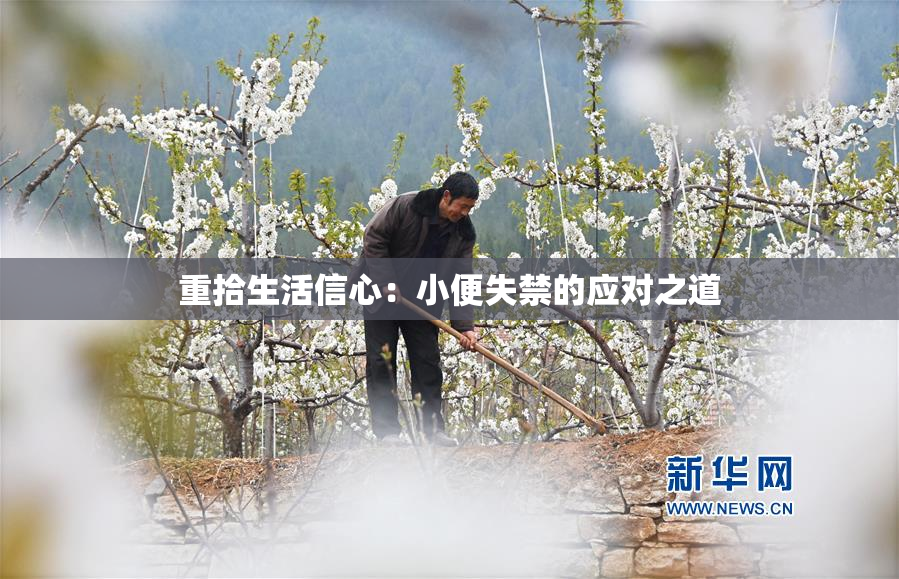 重拾生活信心：小便失禁的应对之道
