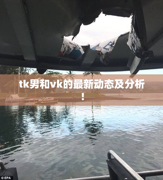 tk男和vk的最新动态及分析！
