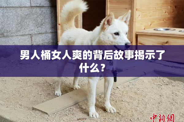 男人桶女人爽的背后故事揭示了什么？