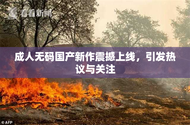 成人无码国产新作震撼上线，引发热议与关注