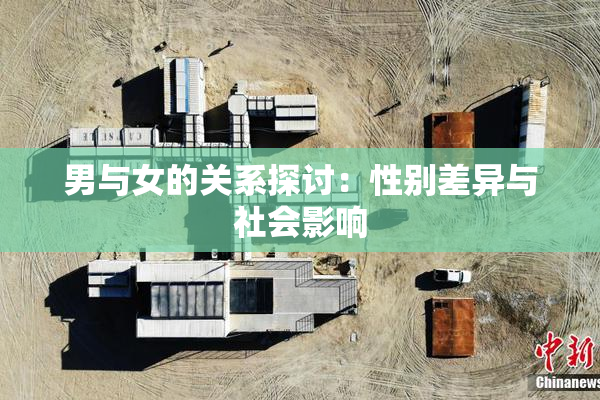 男与女的关系探讨：性别差异与社会影响