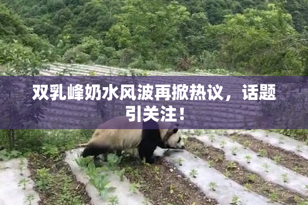 双乳峰奶水风波再掀热议，话题引关注！