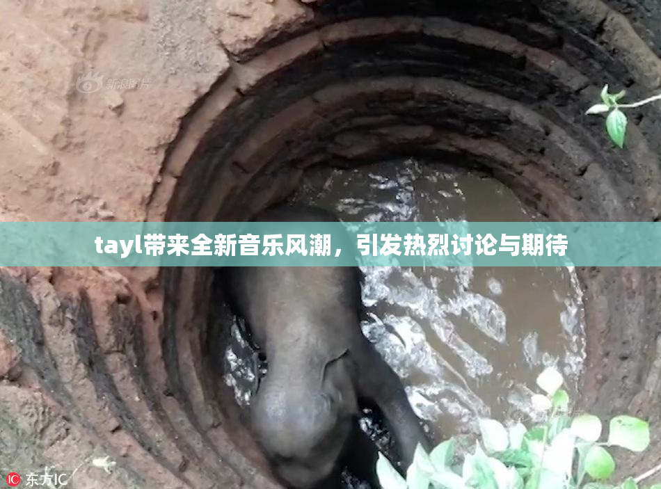 tayl带来全新音乐风潮，引发热烈讨论与期待