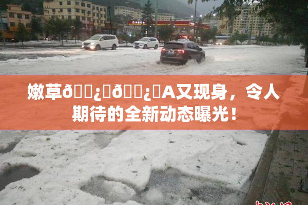嫩草🌿‌🌿‌A又现身，令人期待的全新动态曝光！