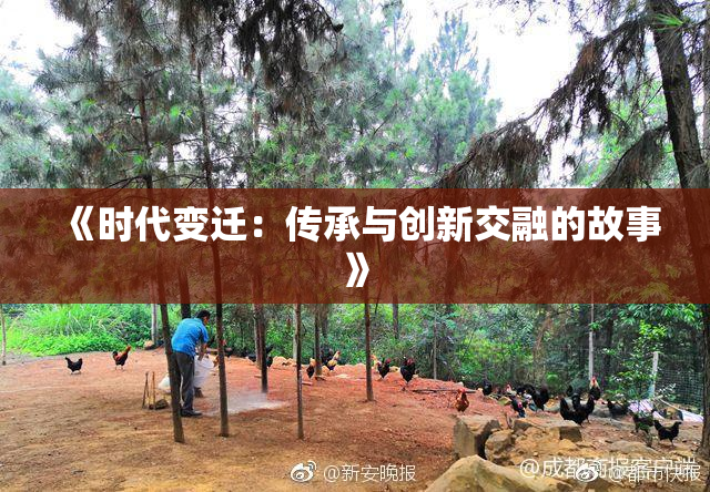 《时代变迁：传承与创新交融的故事》