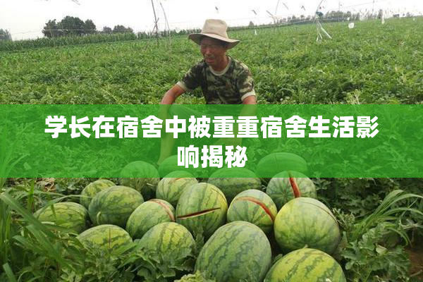学长在宿舍中被重重宿舍生活影响揭秘