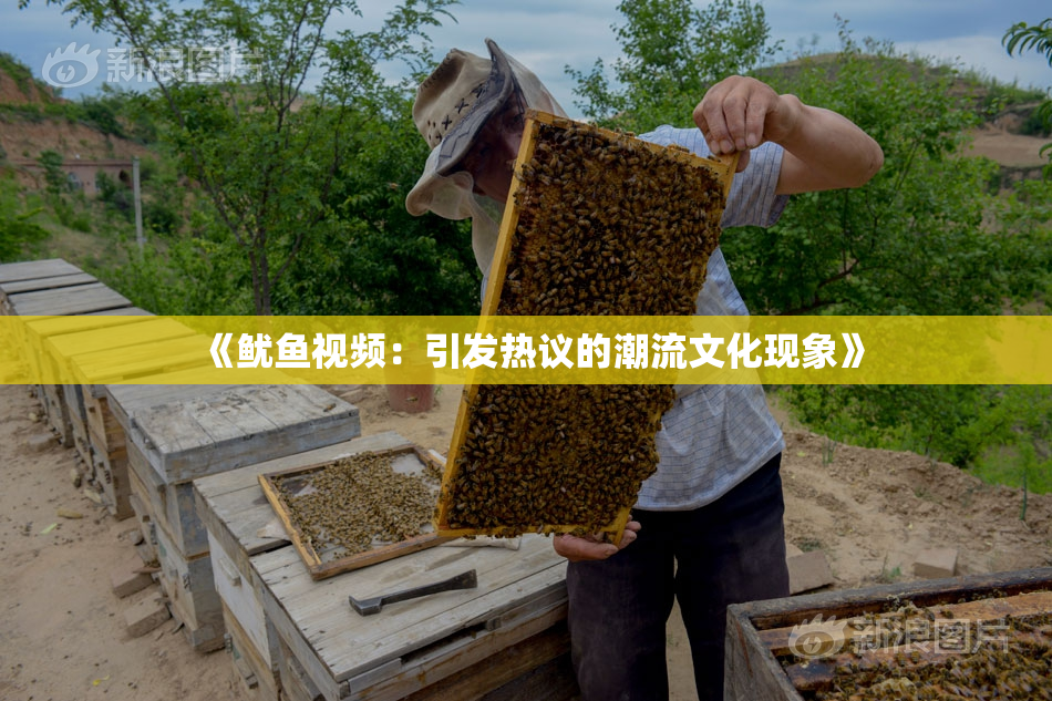 《鱿鱼视频：引发热议的潮流文化现象》