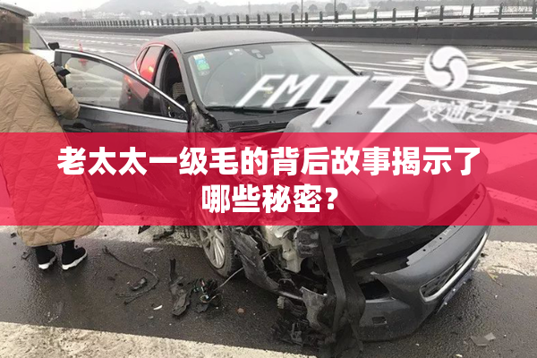 老太太一级毛的背后故事揭示了哪些秘密？