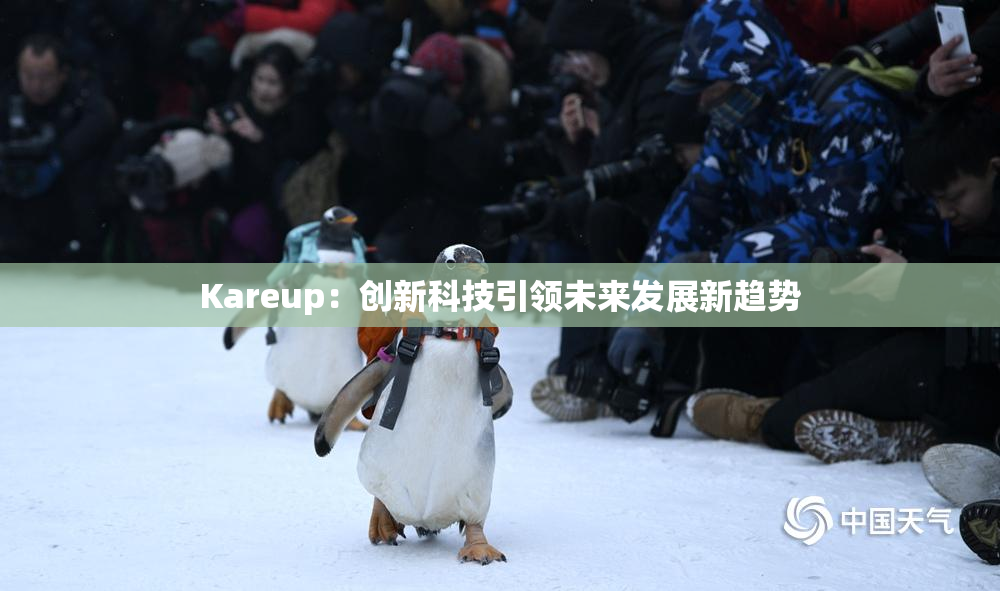 Kareup：创新科技引领未来发展新趋势