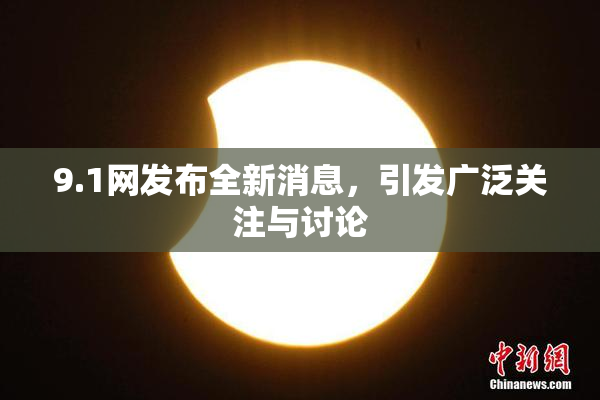 9.1网发布全新消息，引发广泛关注与讨论