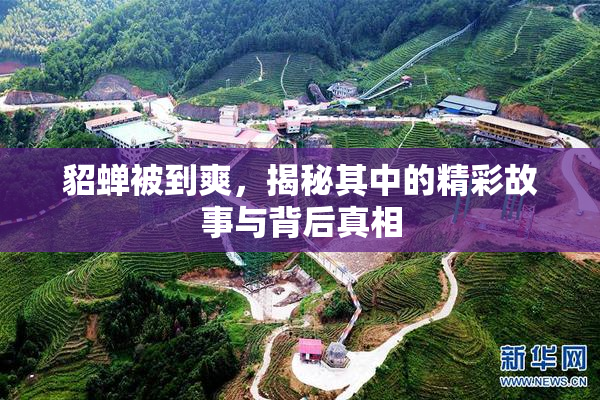 貂蝉被到爽，揭秘其中的精彩故事与背后真相