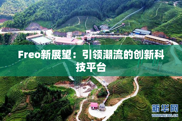 Freo新展望：引领潮流的创新科技平台