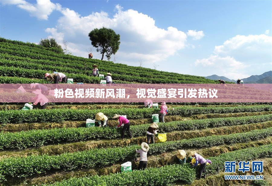 粉色视频新风潮，视觉盛宴引发热议