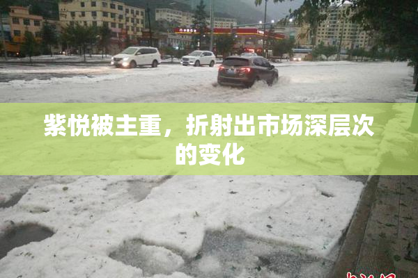 紫悦被主重，折射出市场深层次的变化