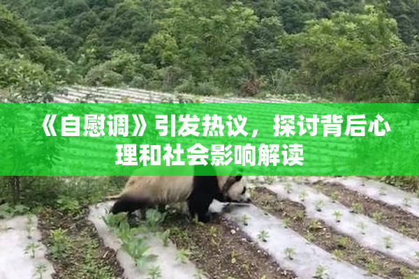 《自慰调》引发热议，探讨背后心理和社会影响解读