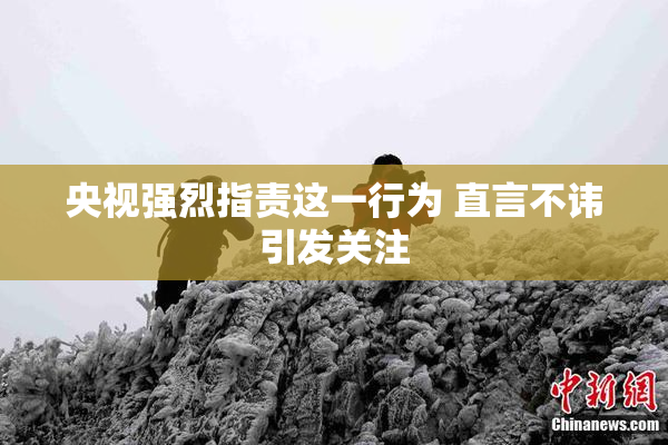 央视强烈指责这一行为 直言不讳引发关注