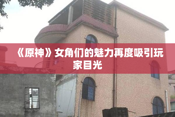 《原神》女角们的魅力再度吸引玩家目光