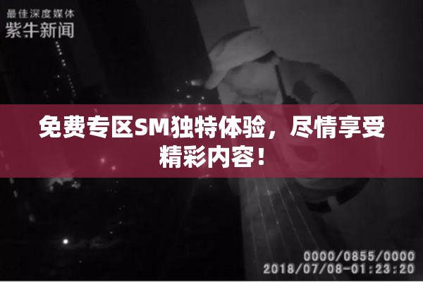 免费专区SM独特体验，尽情享受精彩内容！