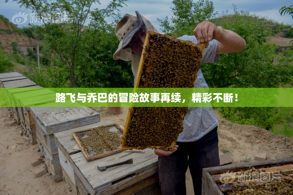 路飞与乔巴的冒险故事再续，精彩不断！