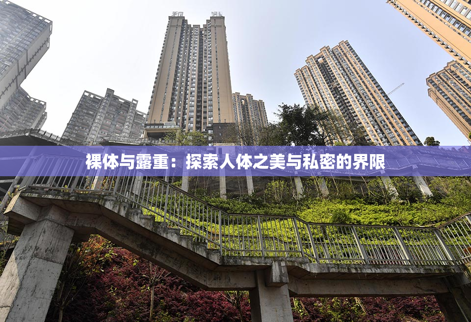 裸体与露重：探索人体之美与私密的界限