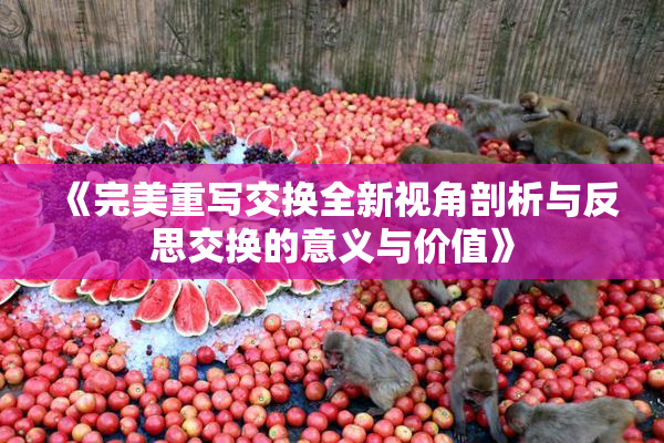 《完美重写交换全新视角剖析与反思交换的意义与价值》