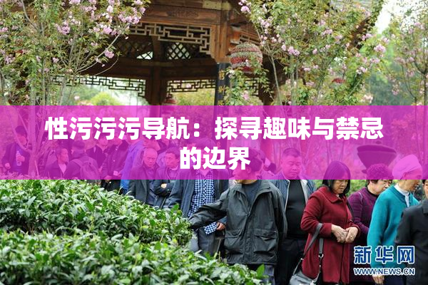 性污污污导航：探寻趣味与禁忌的边界
