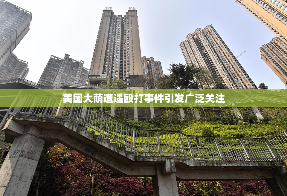 美国大荫遭遇殴打事件引发广泛关注