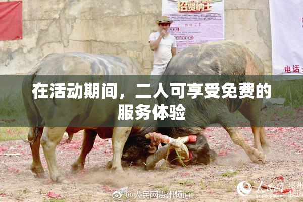 在活动期间，二人可享受免费的服务体验