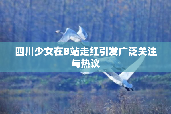 四川少女在B站走红引发广泛关注与热议
