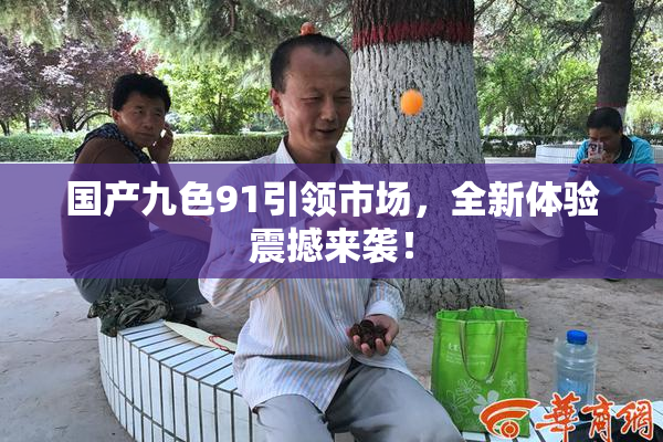 国产九色91引领市场，全新体验震撼来袭！