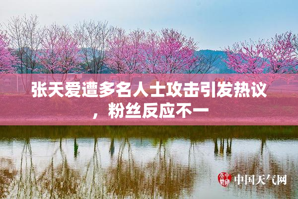 张天爱遭多名人士攻击引发热议，粉丝反应不一