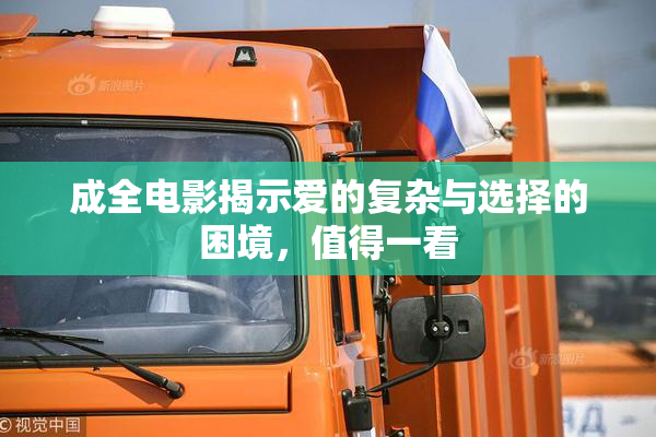 成全电影揭示爱的复杂与选择的困境，值得一看